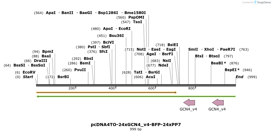 146523_map