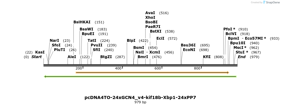 146524_map