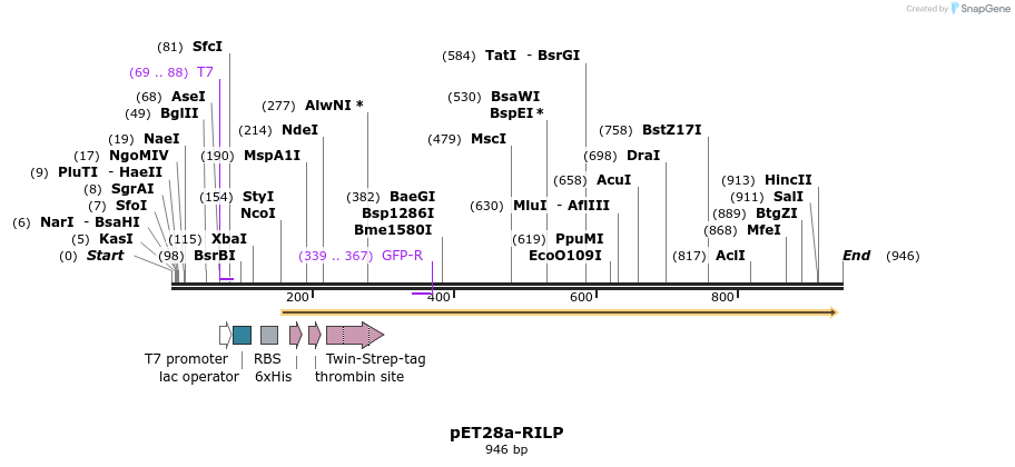 146526_map