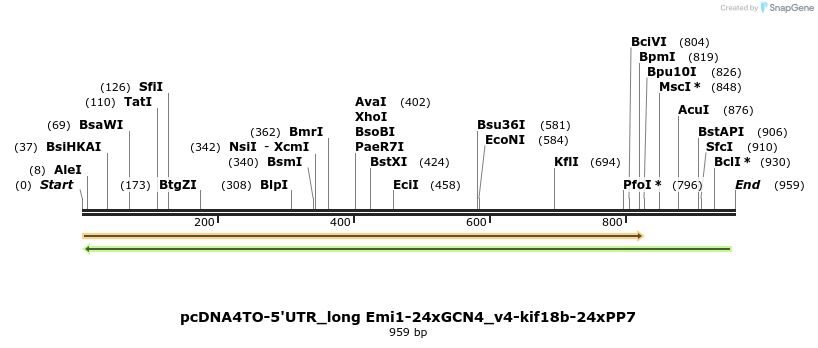 146527_map