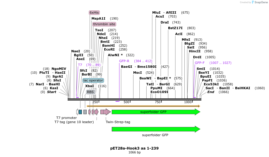 146528_map