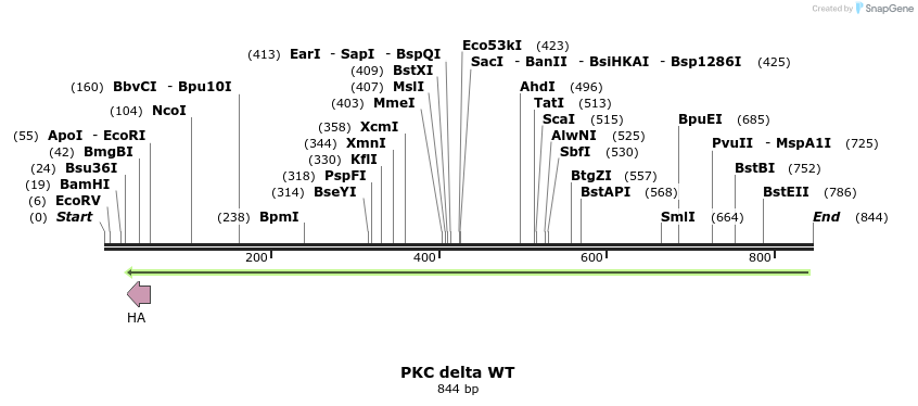 146531_map