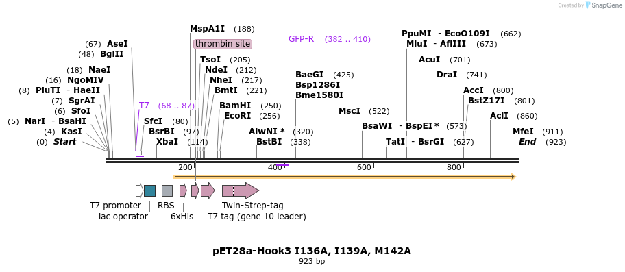 146534_map