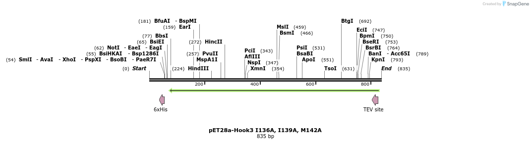 146535_map