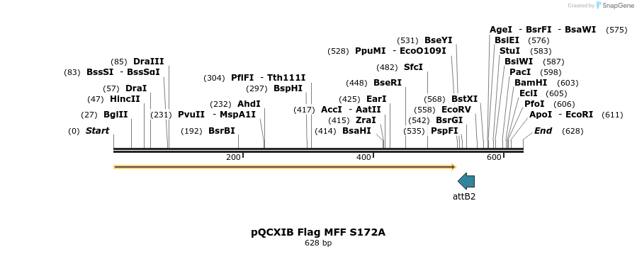 146537_map