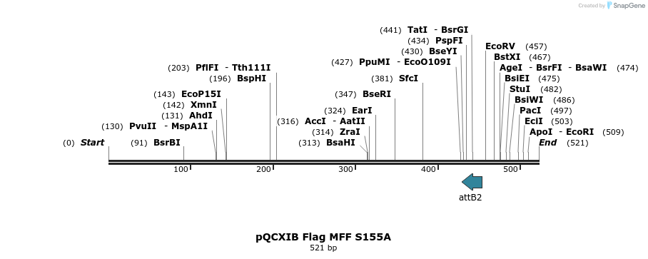 146538_map