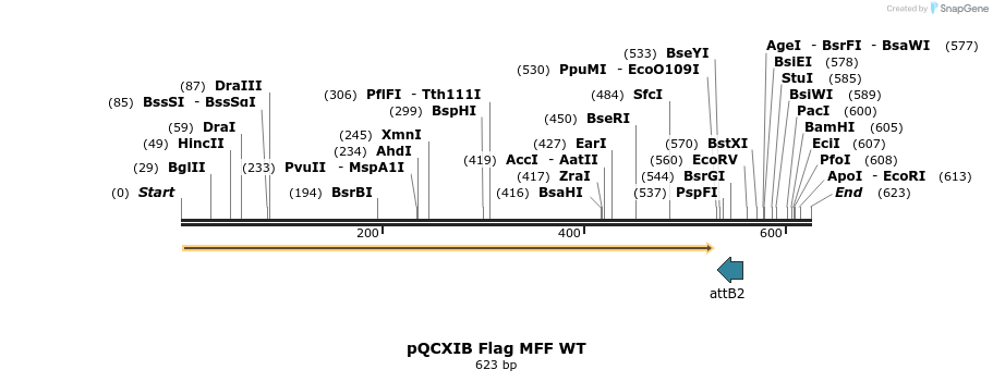 146539_map
