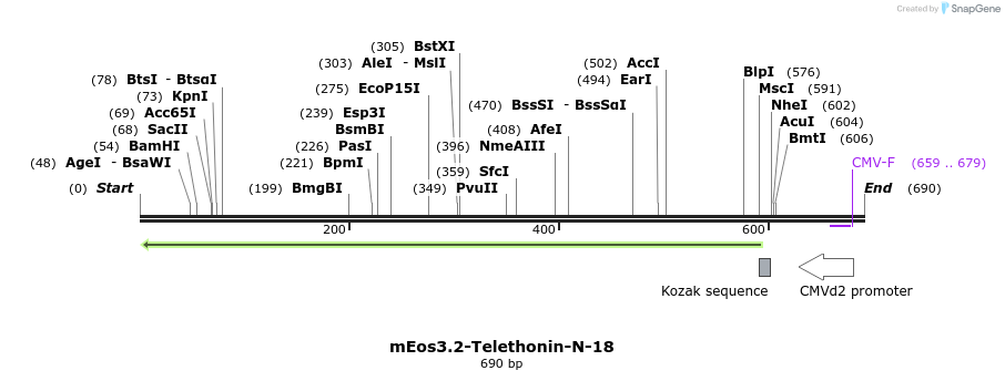 146542_map