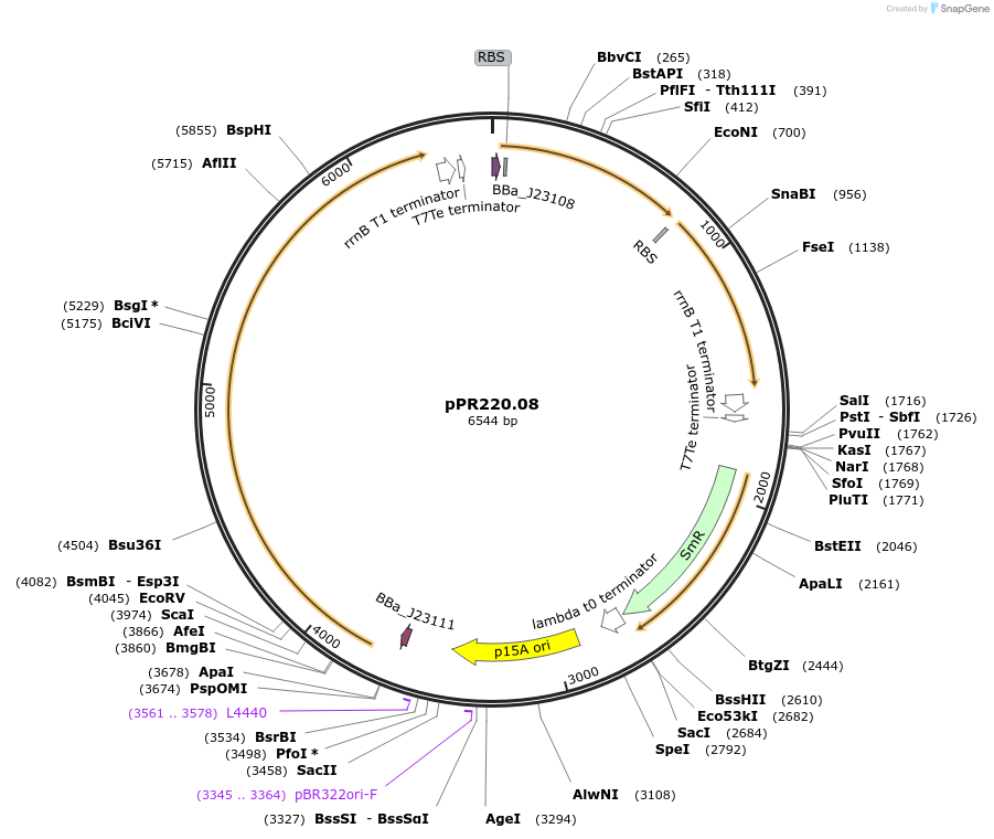 146545_map