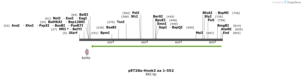 146548_map