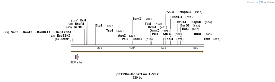 146549_map