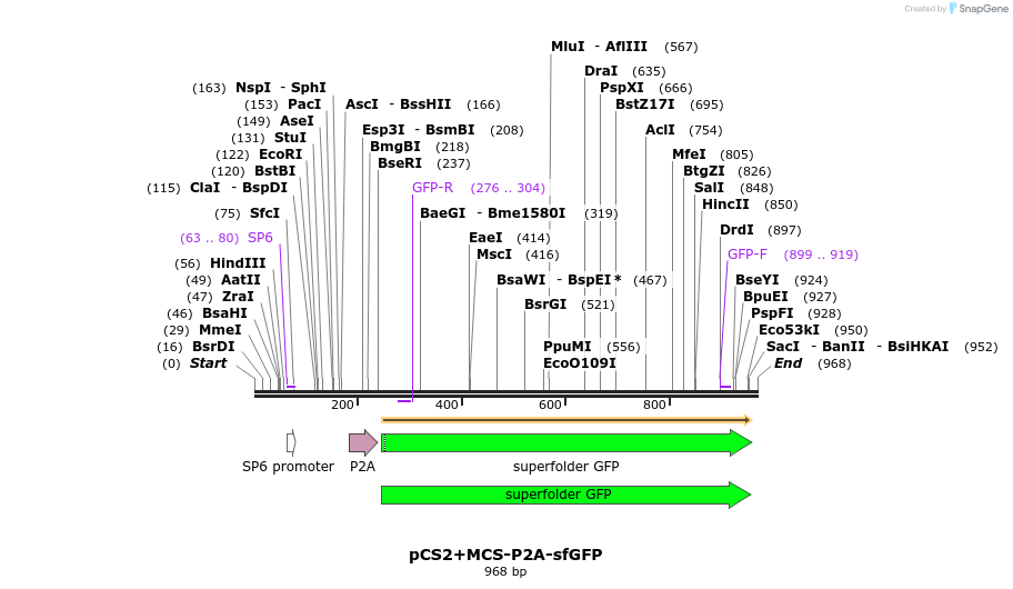 146553_map