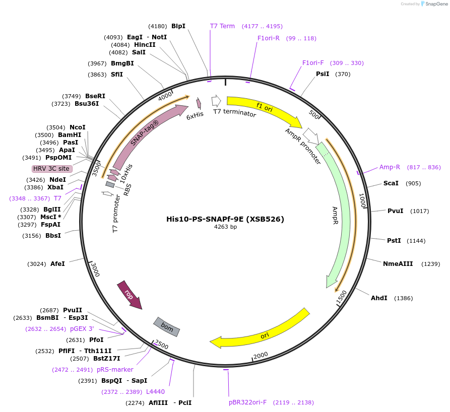 146560_map