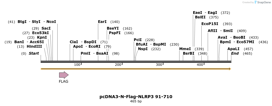 146570_map