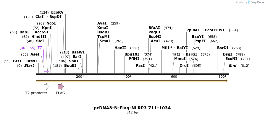 146571_map