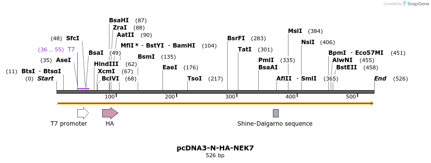 146575_map