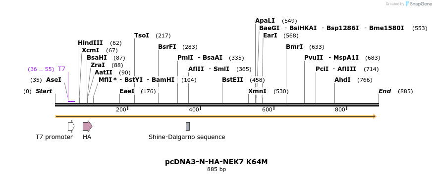 146577_map