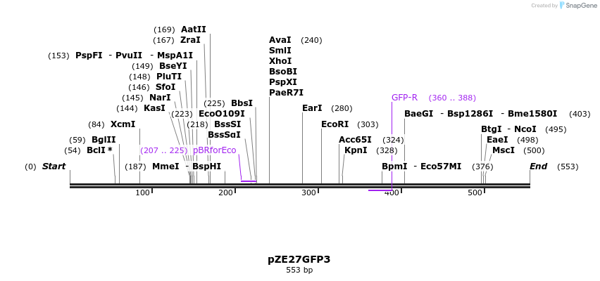 146590_map