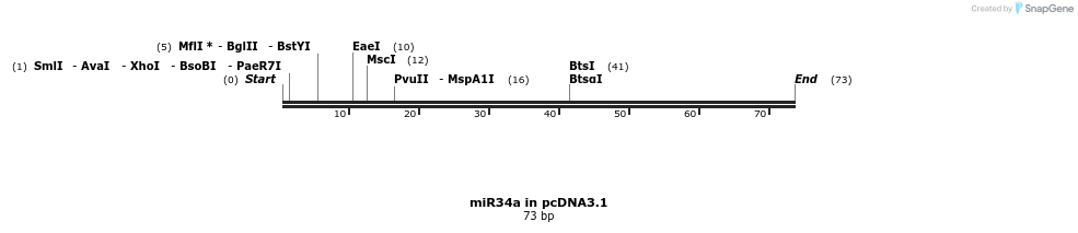 146598_map
