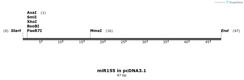 146601_map