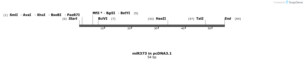 146602_map