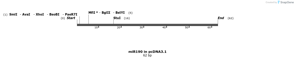 146604_map