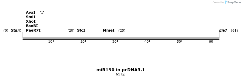 146605_map
