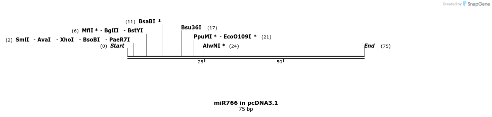 146608_map