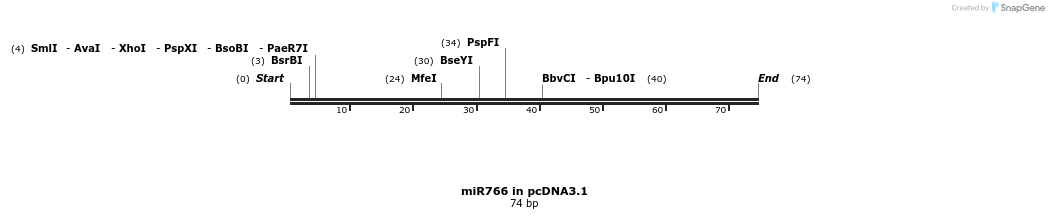 146610_map