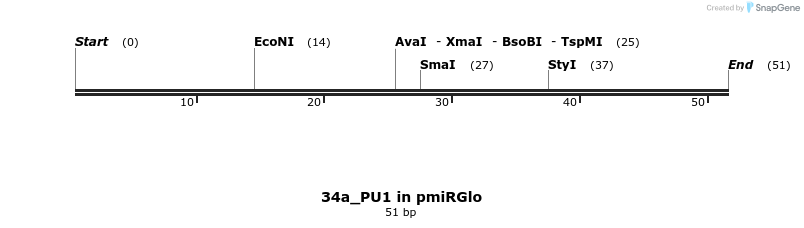 146611_map