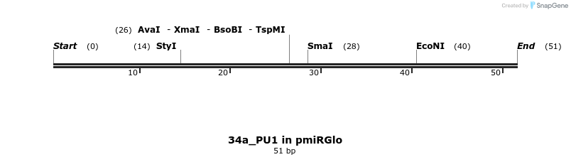 146612_map