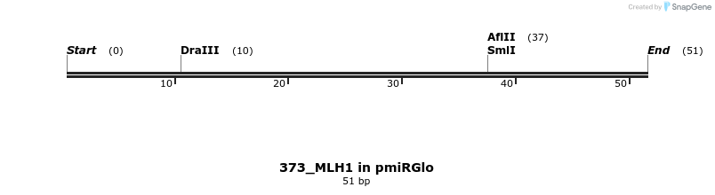 146616_map
