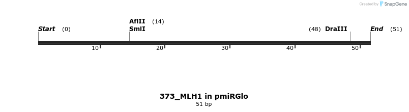 146617_map
