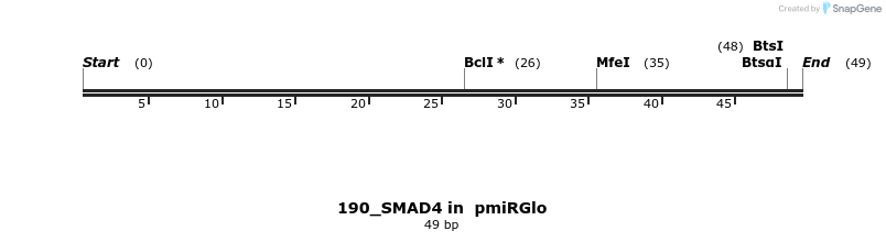 146618_map