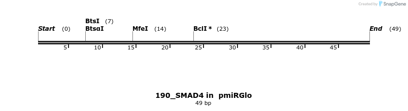 146619_map