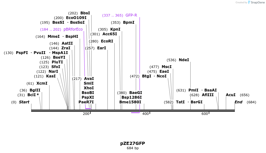 146620_map