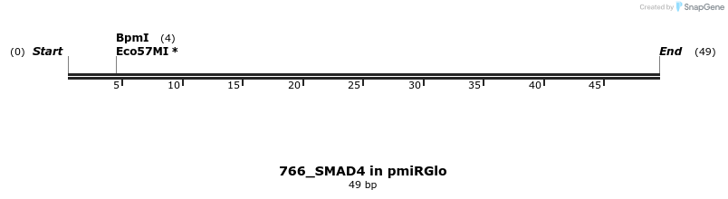 146624_map