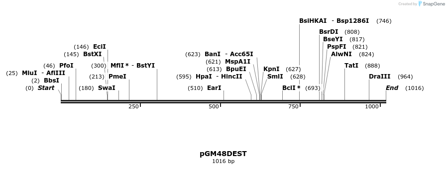 146634_map