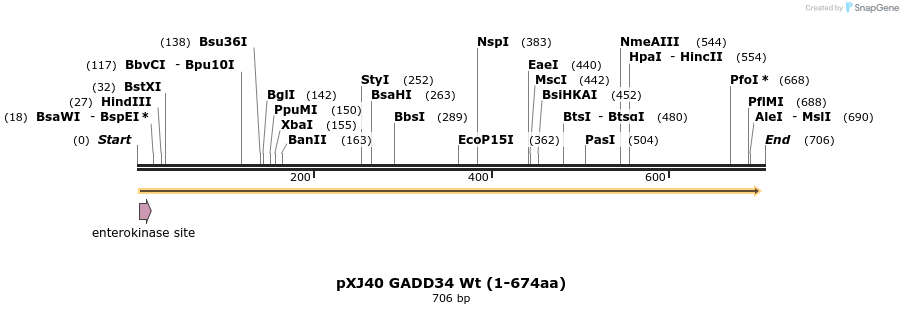146635_map