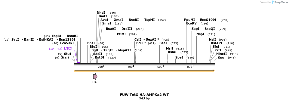 146637_map