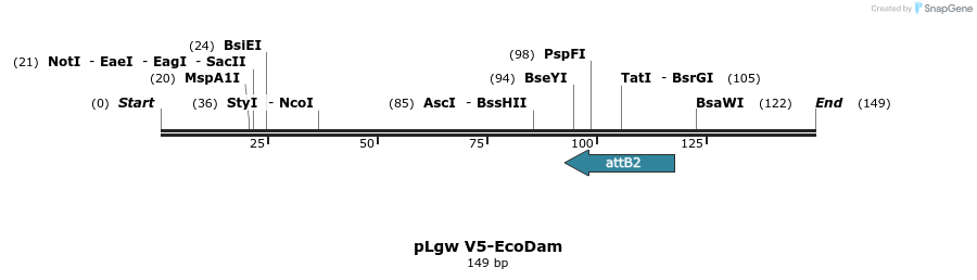 146639_map