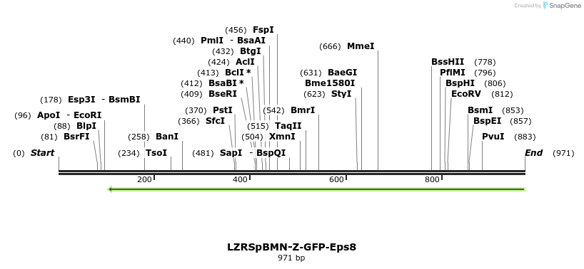 146640_map