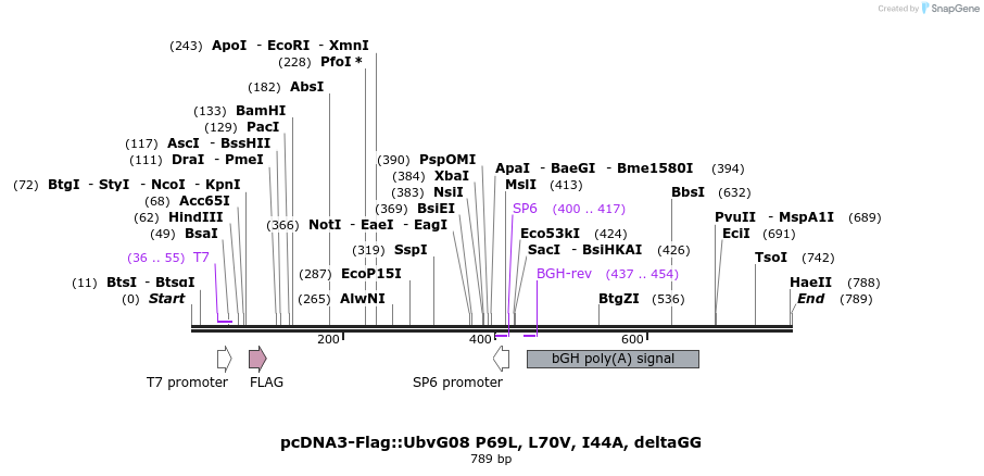 146643_map