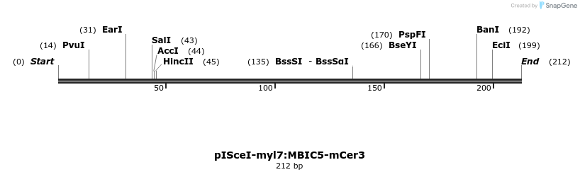 146644_map