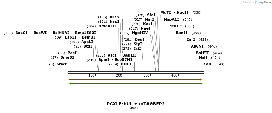 146647_map