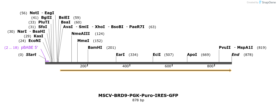 146649_map