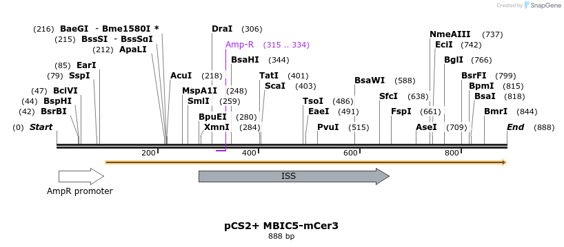 146651_map
