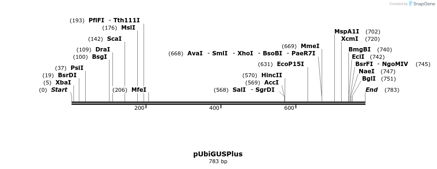 146652_map