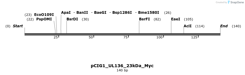 146655_map