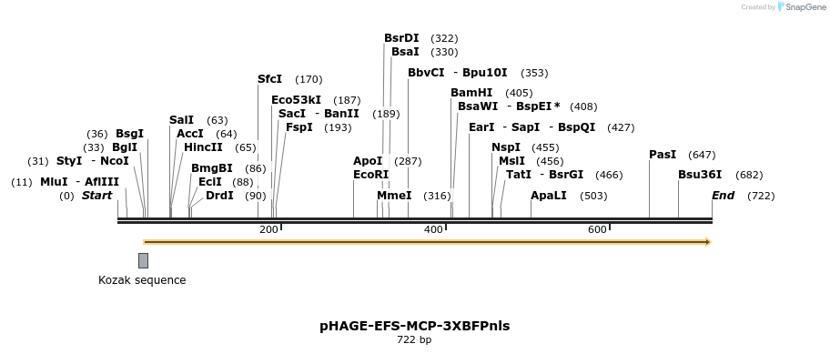 146660_map